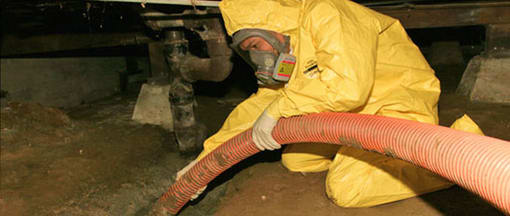 Sewer line failure requiring professional cleanup