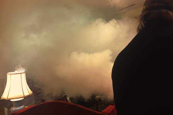 Professional smoke deodorization equipment