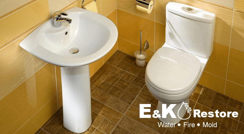 Sewage cleanup and contaminated-material removal